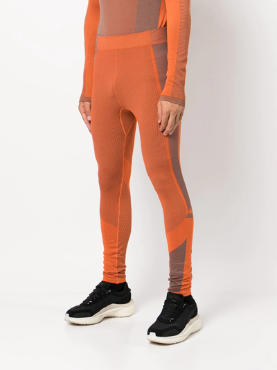 Shop Y-3 Panelled Running Legging Tights In 橘色