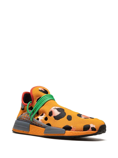 Shop Adidas Originals Nmd Hu "animal Print" Sneakers In Focus Orange/core Black/scream