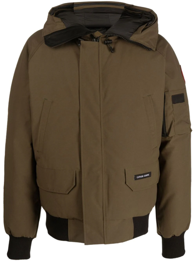 Shop Canada Goose Chilliwack Hooded Bomber Coat In Brown