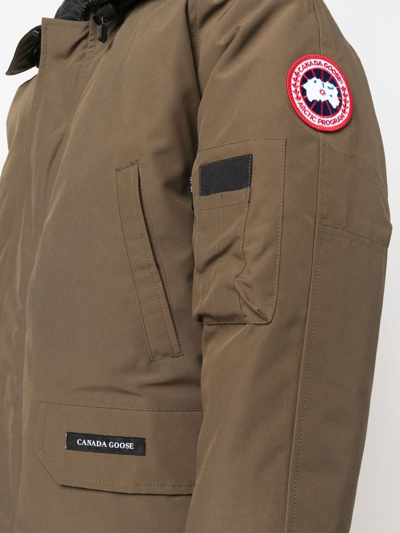 Shop Canada Goose Chilliwack Hooded Bomber Coat In Brown