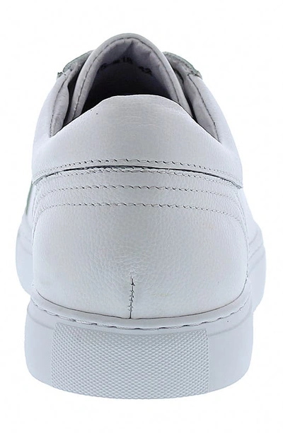 Shop Zanzara Vester Leather Low Top Sneaker In White