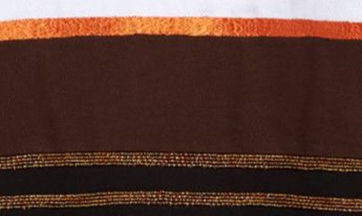 Shop Ahluwalia Mae Long Sleeve Zip Polo In Brown
