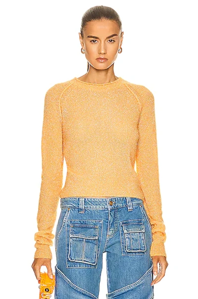 Shop Acne Studios Knit Sweater In Apricot Orange