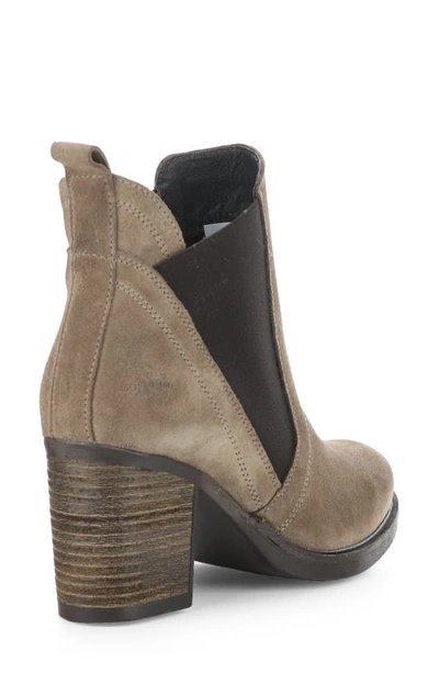 Bos. & Co. Bellini Waterproof Chelsea Boot In Taupe/ Dkbrown Suede