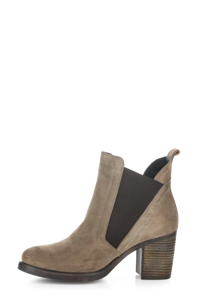 Bos. & Co. Bellini Waterproof Chelsea Boot In Taupe/ Dkbrown Suede