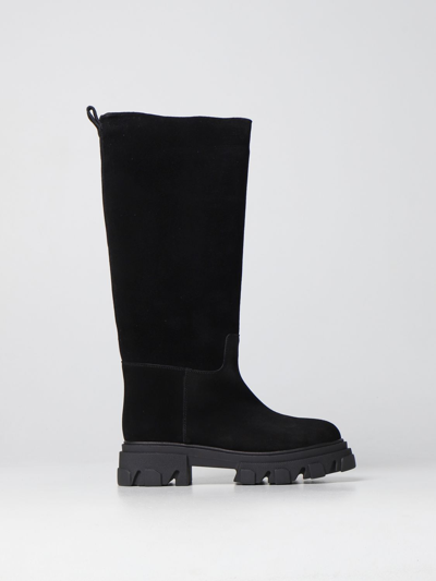 靴子 GIA BORGHINI 女士 颜色 黑色