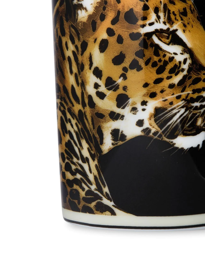 Dolce & Gabbana Tiger-print Porcelain Glass In Black