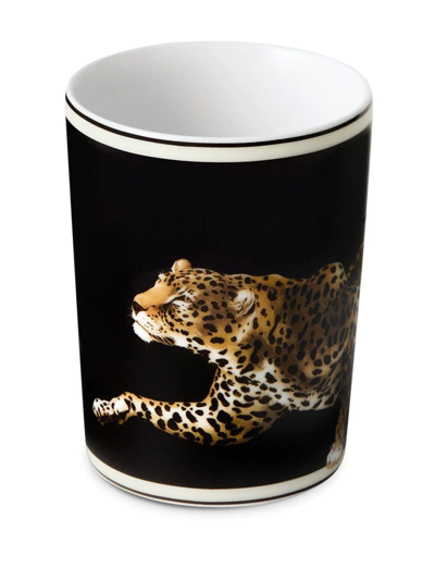 Dolce & Gabbana Tiger-print Porcelain Glass In Black