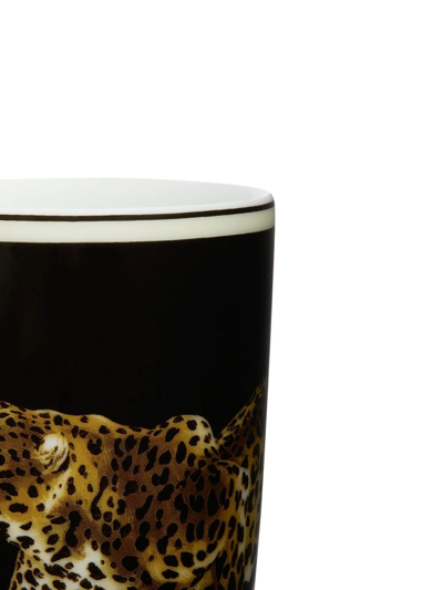 Dolce & Gabbana Tiger-print Porcelain Glass In Black