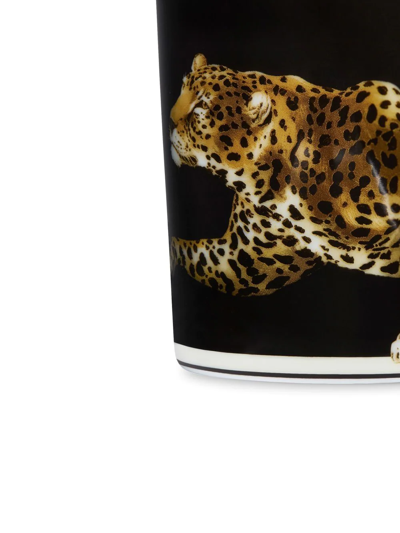 Dolce & Gabbana Tiger-print Porcelain Glass In Black