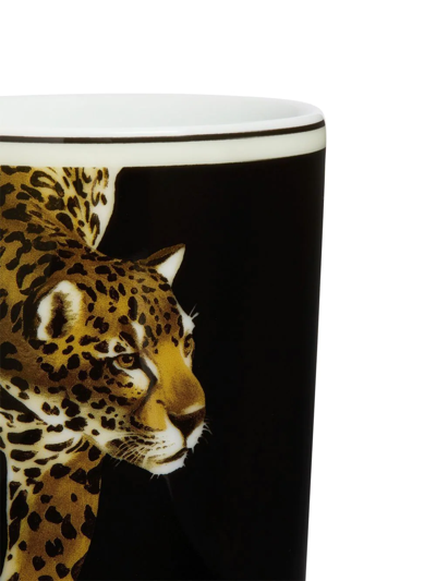 Dolce & Gabbana Tiger-print Porcelain Glass In Black