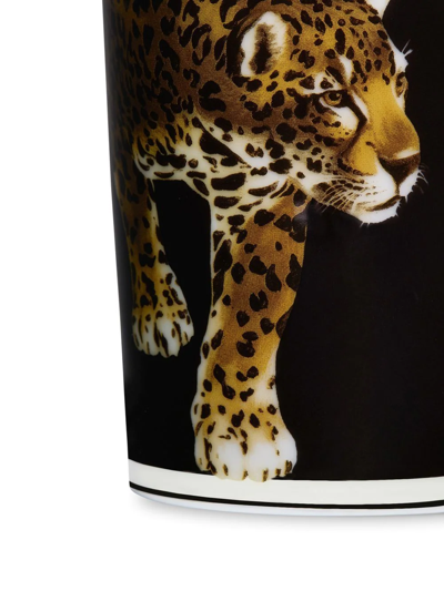 Dolce & Gabbana Tiger-print Porcelain Glass In Black