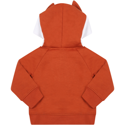 Shop Stella Mccartney Brown Sweatshirt For Baby Boy With Fox
