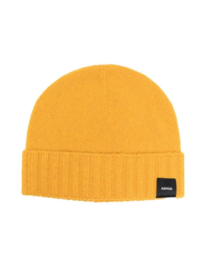 Shop Aspesi Ribbed Knit Beanie Hat In Yellow