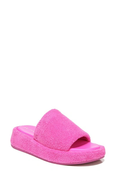 Shop Circus By Sam Edelman Latasha Slide Sandal In Pink Punch
