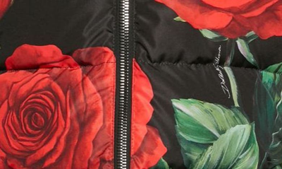 Shop Dolce & Gabbana Rose Print Down Puffer Jacket In Hn3vr Rose Rosse Fdo Nero