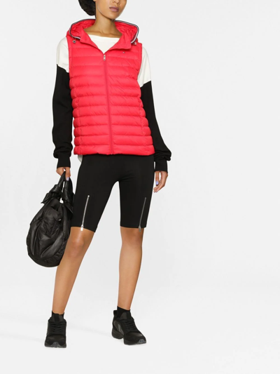 Shop Tommy Hilfiger Logo Zipped Gilet In Rot