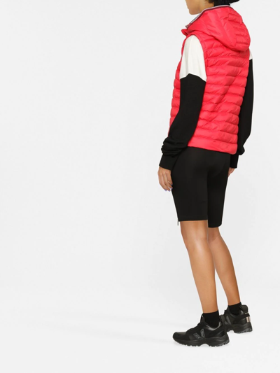 Shop Tommy Hilfiger Logo Zipped Gilet In Rot