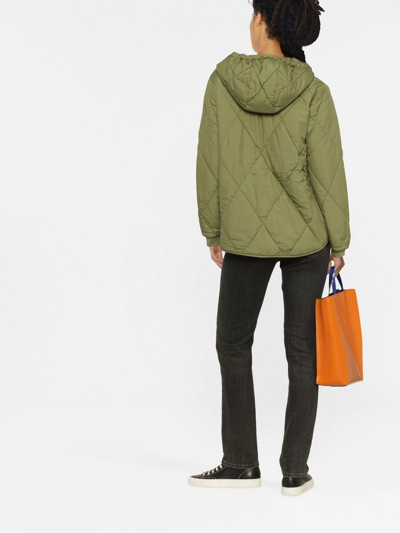 Tommy Hilfiger Drawstring-hood Padded Jacket In Grün