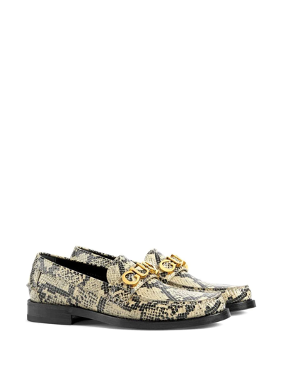 Gucci Logo Plaque Snake Print Loafers In Neutral