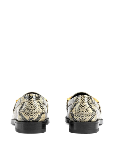 Shop Gucci Logo Plaque Snake Print Loafers In Schwarz