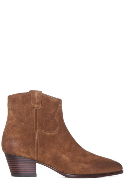 Shop Ash Houston Ankle Boots In Brown