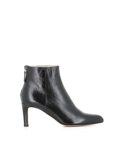 Shop Antonio Barbato Ankle Boot M418 In Black