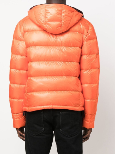 Shop Peuterey Honova Down Jacket In Orange