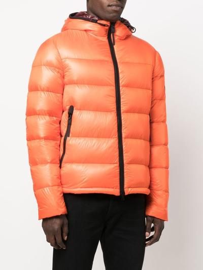 Shop Peuterey Honova Down Jacket In Orange