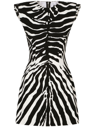 Shop Dolce & Gabbana Zebra Print Short Dress