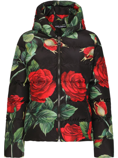 Shop Dolce & Gabbana Rose Print Puffer Jacket