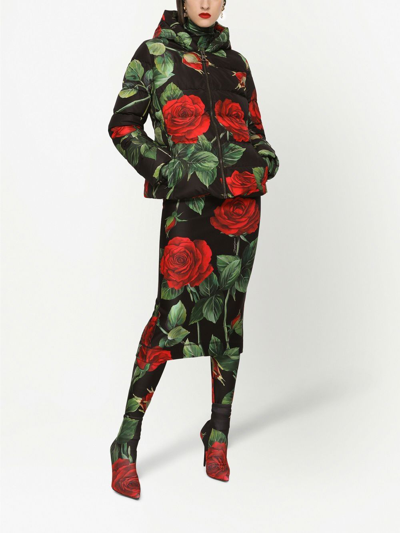 Shop Dolce & Gabbana Rose Print Puffer Jacket