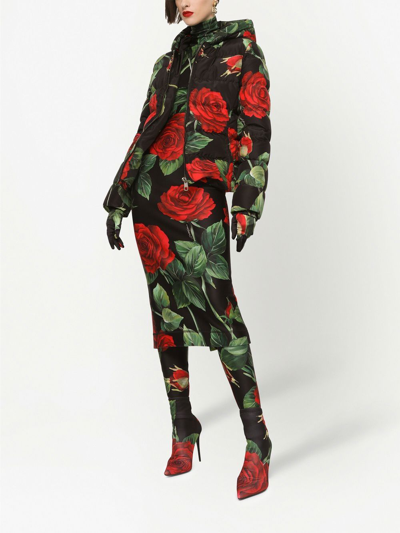 Shop Dolce & Gabbana Rose Print Puffer Jacket