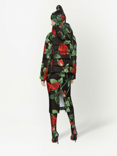 Shop Dolce & Gabbana Rose Print Puffer Jacket