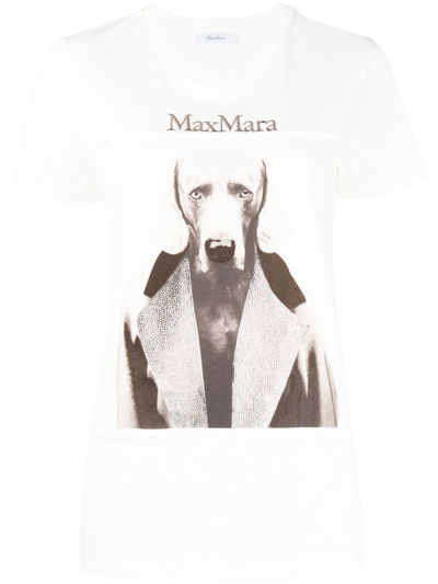 Shop Max Mara Printedcotton T-shirt In White