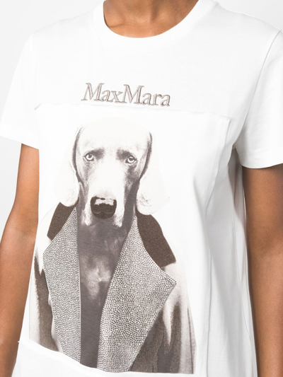 Shop Max Mara Printedcotton T-shirt In White