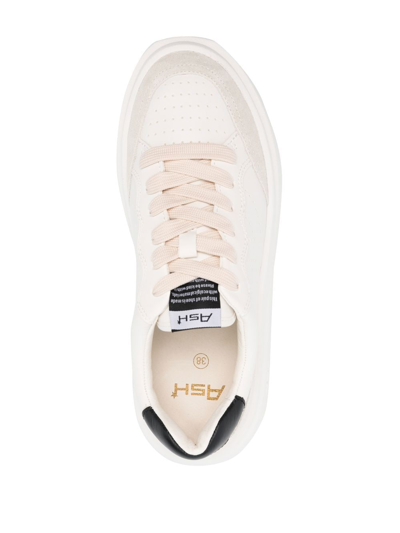 Shop Ash Impuls Leather Sneakers In White