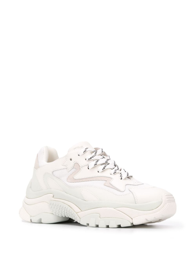 Shop Ash Addict Leather Sneakers In White