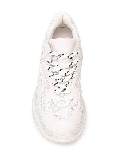 Shop Ash Addict Leather Sneakers In White