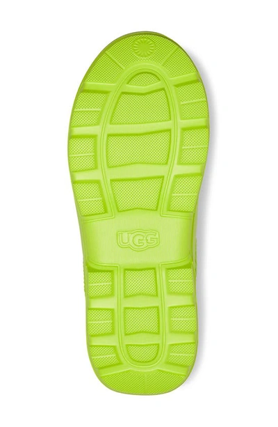 Shop Ugg Tasman X Waterproof Clog In Key Lime