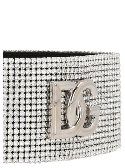 Shop Dolce & Gabbana Zebra Choker In Silver