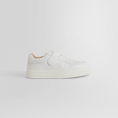 Chloé Lauren Scalloped Leather Sneaker In White