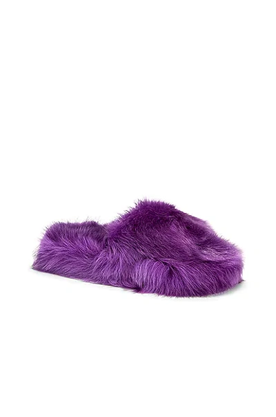 Shop Bottega Veneta Shearling Resort Slides In Purple