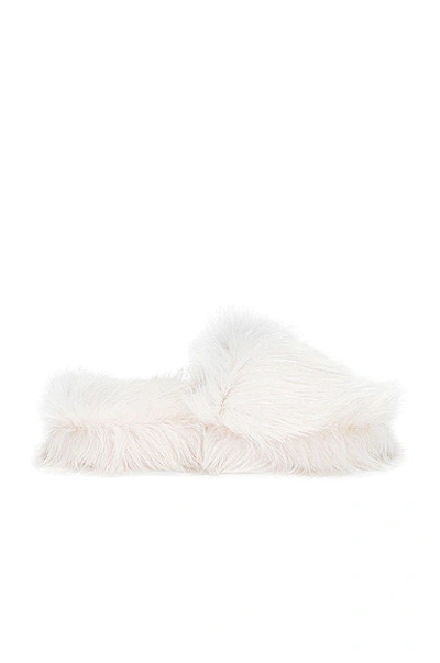 Shop Bottega Veneta Shearling Resort Slides In White