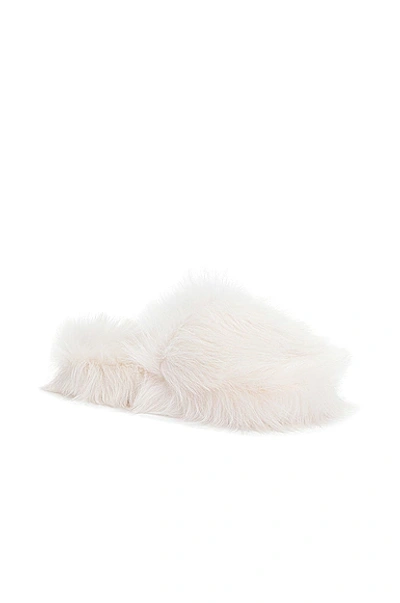 Shop Bottega Veneta Shearling Resort Slides In White