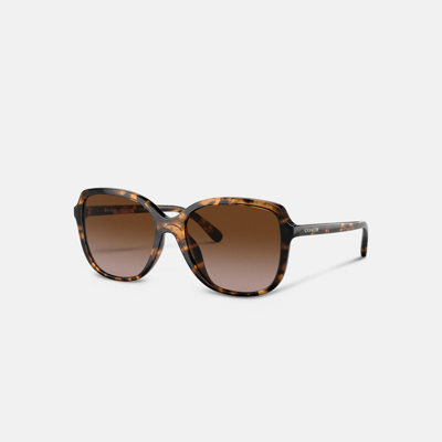 Shop Coach Outlet Geometric Square Sunglasses In Brown