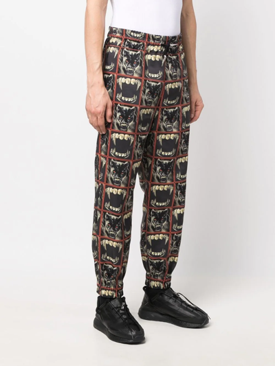 Roberto Cavalli Panther Print Track Pants In Black