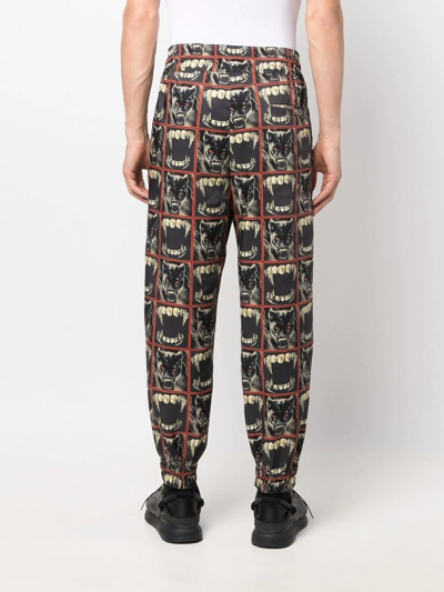 Roberto Cavalli Panther Print Track Pants In Black