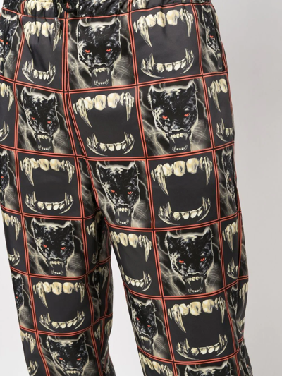 Roberto Cavalli Panther Print Track Pants In Black