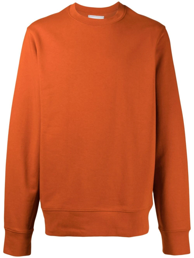 Shop Y-3 Logo-print Crew-neck Cotton Sweatshirt In Orange